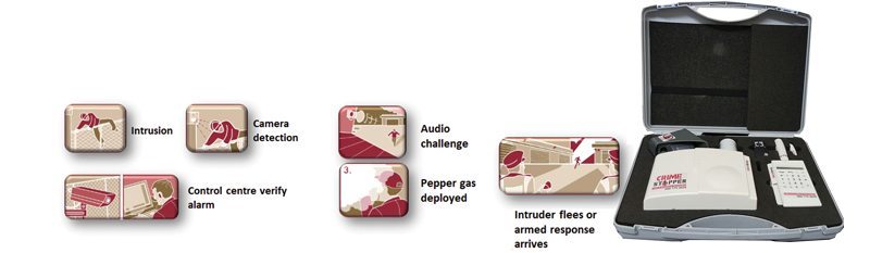 remote control eguarding systems