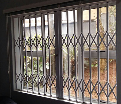 window shields